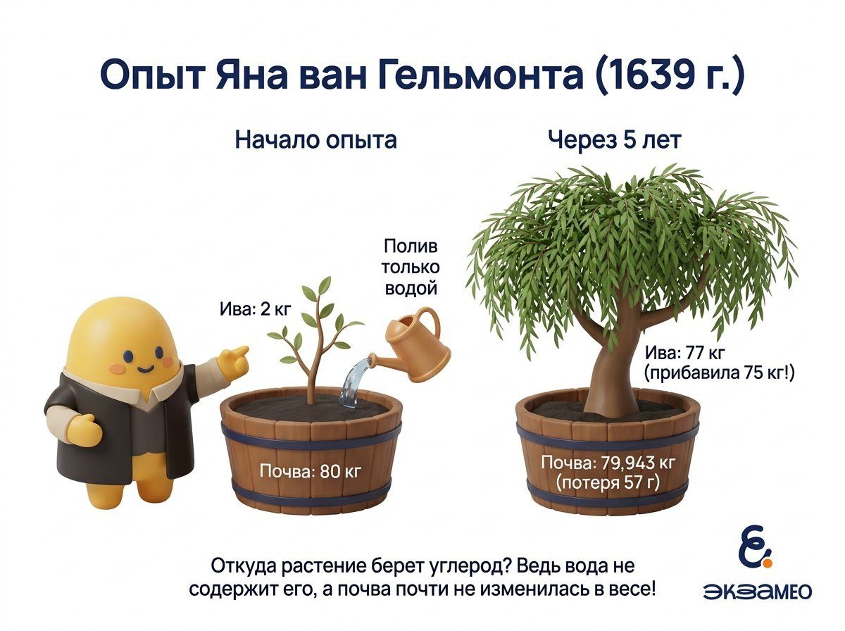 Опыт Яна ван Гельмонта