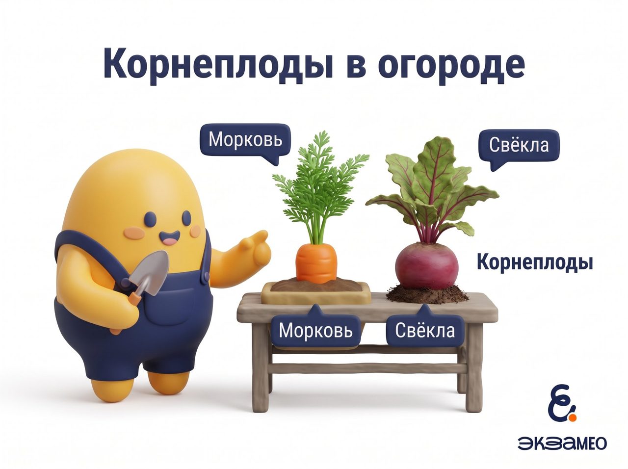 Изображение моркови и свёклы