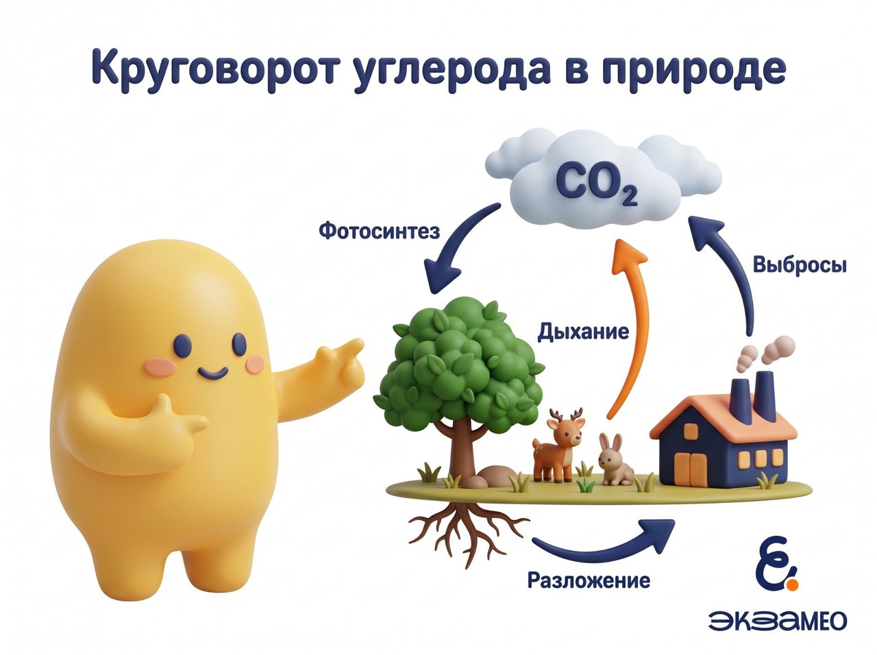 Круговорот углерода в природе